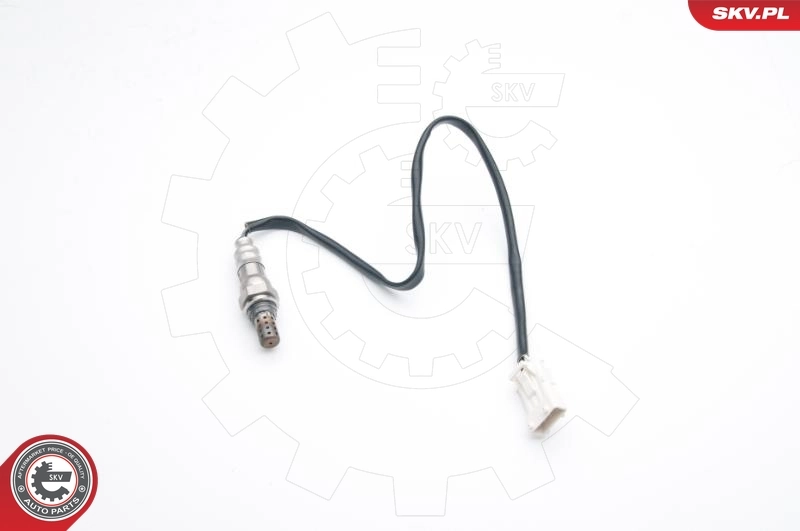 Oxygen Sensor